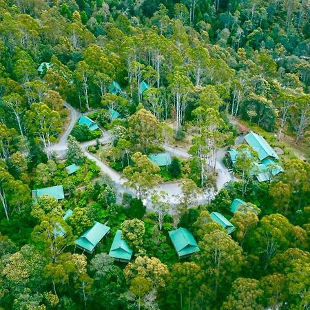 Lemonthyme Wilderness Retreat Ξενοδοχείο Moina Εξωτερικό φωτογραφία