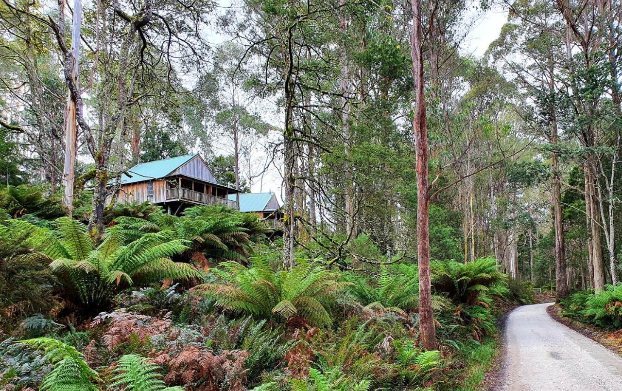 Lemonthyme Wilderness Retreat Ξενοδοχείο Moina Εξωτερικό φωτογραφία