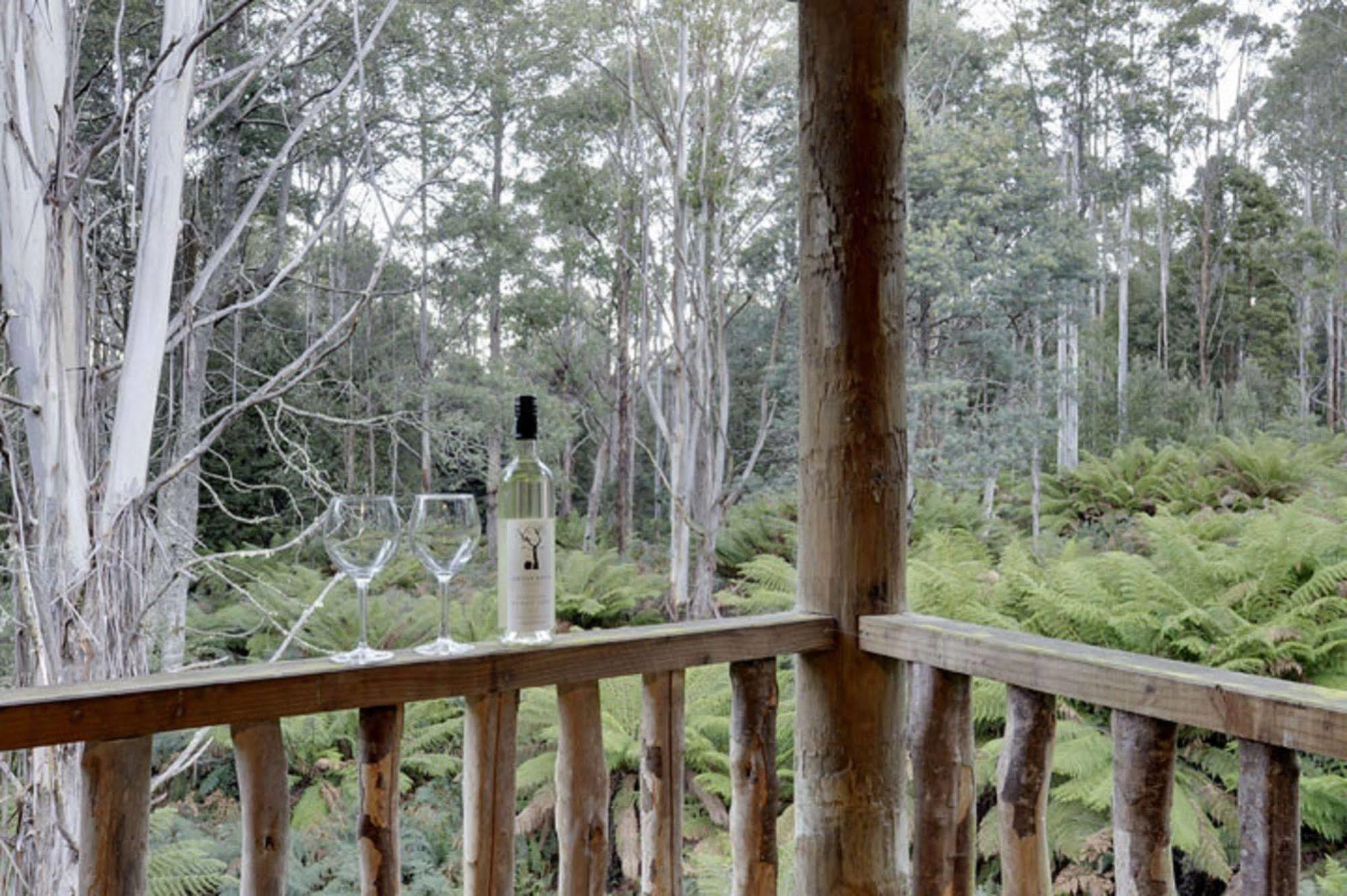 Lemonthyme Wilderness Retreat Ξενοδοχείο Moina Εξωτερικό φωτογραφία