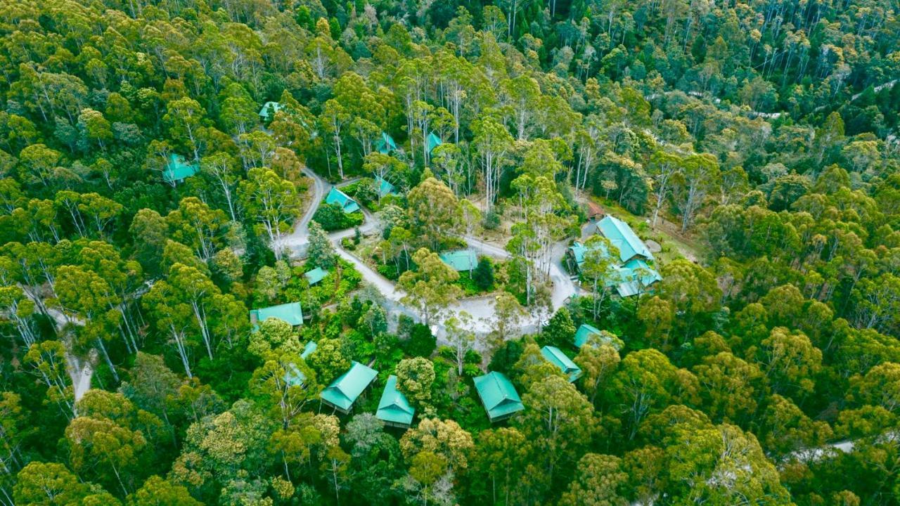 Lemonthyme Wilderness Retreat Ξενοδοχείο Moina Εξωτερικό φωτογραφία